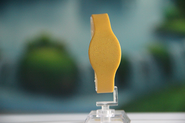 IC腕帶芯片廠家：IC腕帶芯片的應用